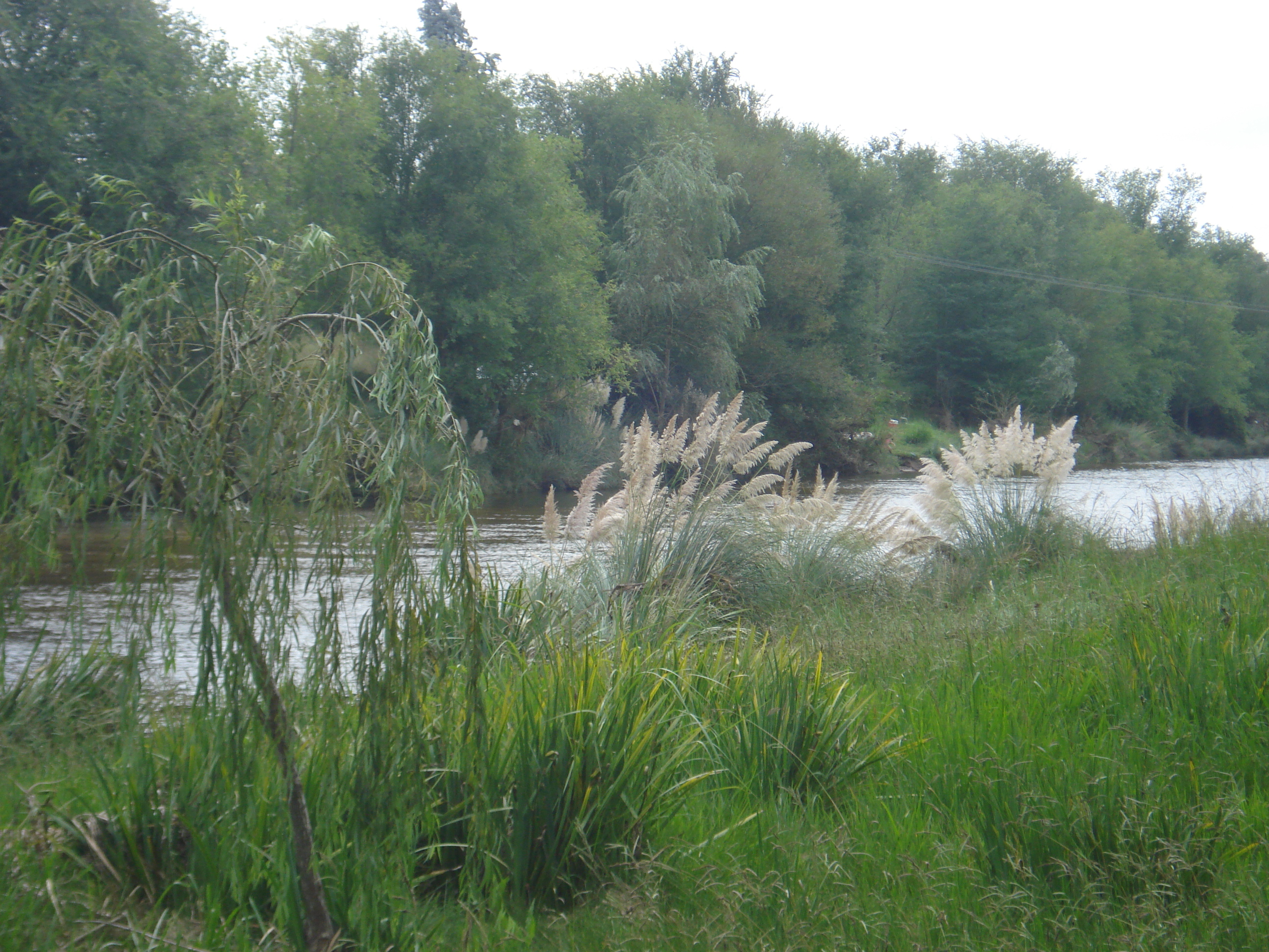 fotos/2011 - Los Reartes/DSC00358.JPG